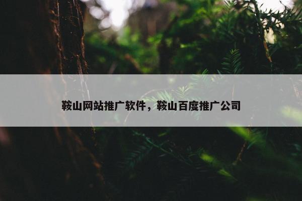 鞍山网站推广软件，鞍山百度推广公司