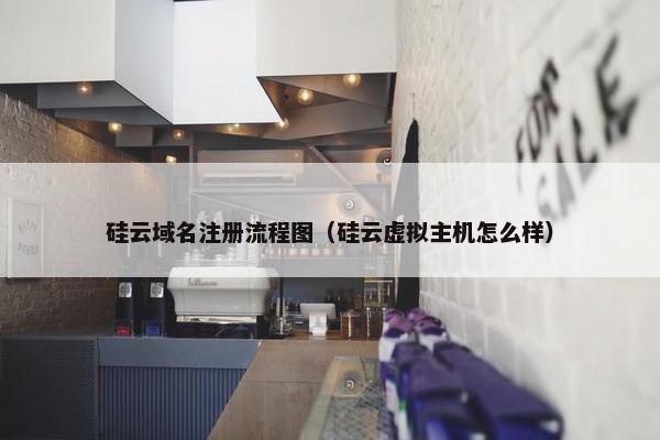 硅云域名注册流程图（硅云虚拟主机怎么样）