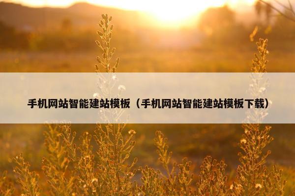 手机网站智能建站模板（手机网站智能建站模板下载）