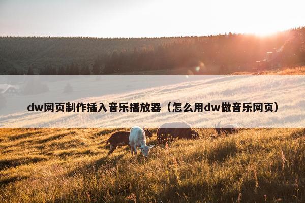 dw网页制作插入音乐播放器（怎么用dw做音乐网页）