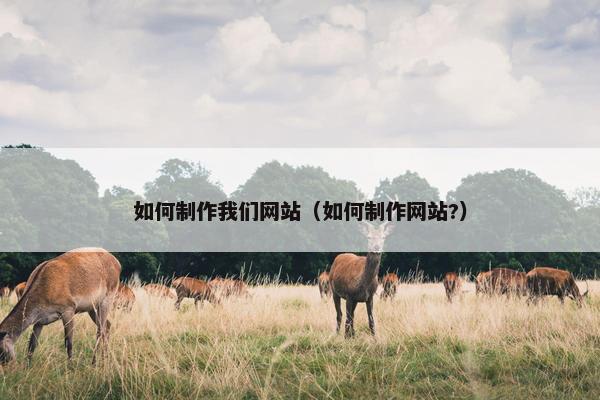 如何制作我们网站（如何制作网站?）