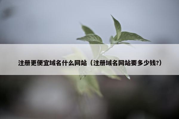 注册更便宜域名什么网站（注册域名网站要多少钱?）