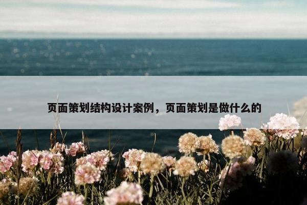 页面策划结构设计案例，页面策划是做什么的