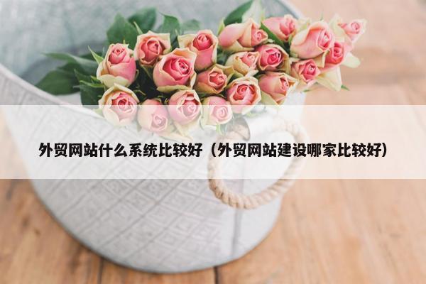 外贸网站什么系统比较好（外贸网站建设哪家比较好）