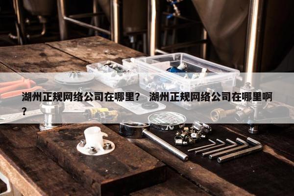 湖州正规网络公司在哪里？ 湖州正规网络公司在哪里啊？