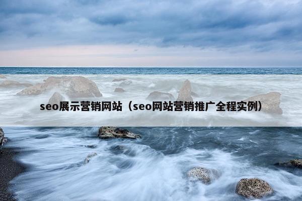 seo展示营销网站（seo网站营销推广全程实例）