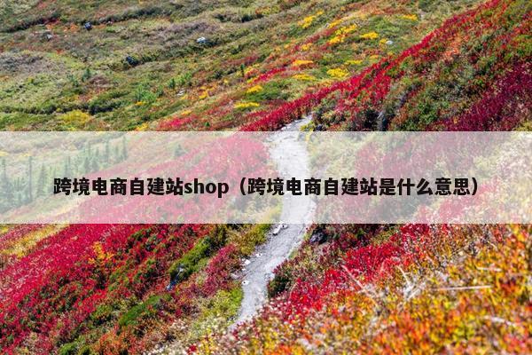 跨境电商自建站shop（跨境电商自建站是什么意思）