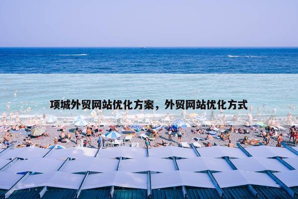 项城外贸网站优化方案，外贸网站优化方式