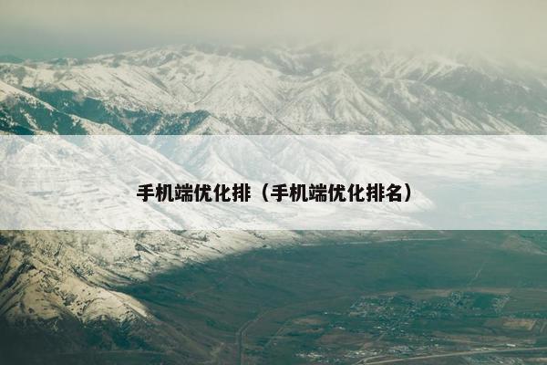 手机端优化排（手机端优化排名）