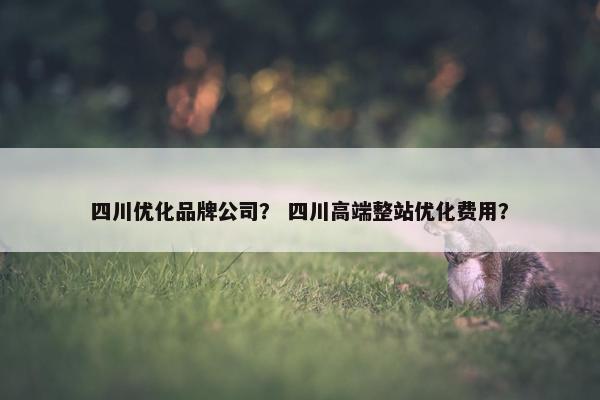 四川优化品牌公司？ 四川高端整站优化费用？