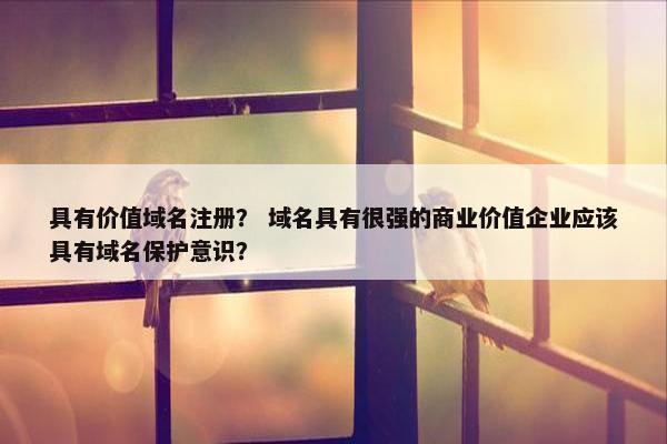 具有价值域名注册？ 域名具有很强的商业价值企业应该具有域名保护意识？