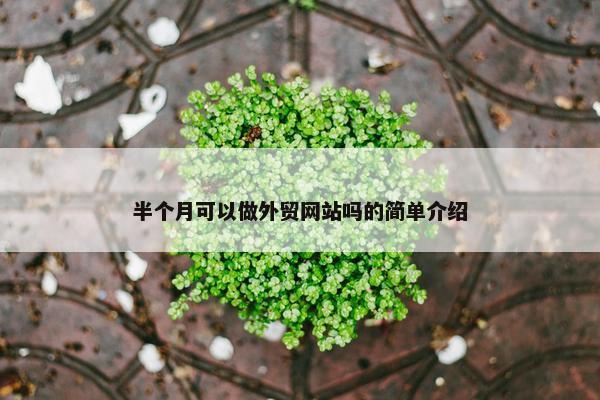 半个月可以做外贸网站吗的简单介绍