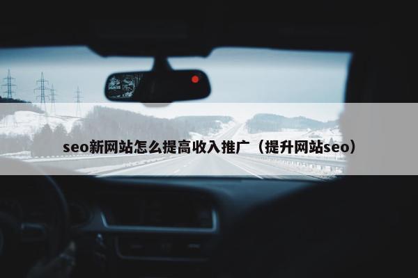 seo新网站怎么提高收入推广（提升网站seo）