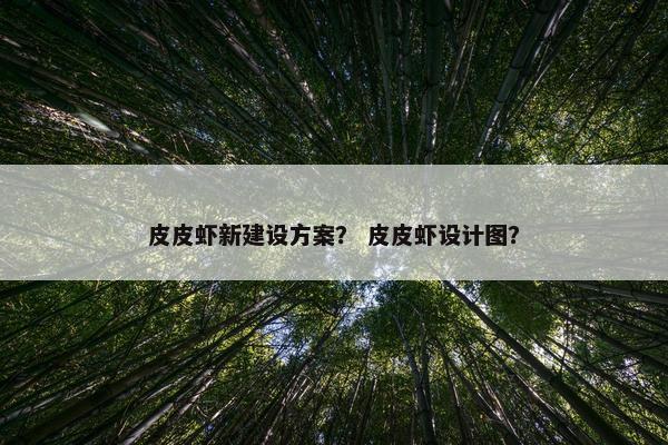 皮皮虾新建设方案？ 皮皮虾设计图？