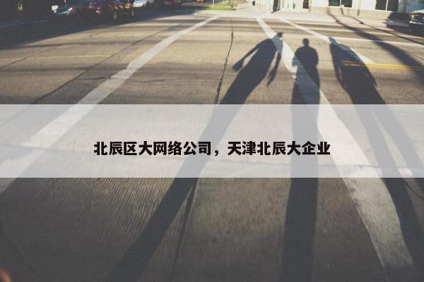 北辰区大网络公司，天津北辰大企业