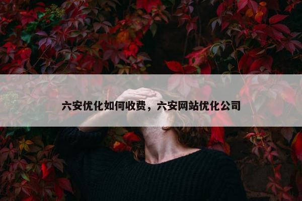 六安优化如何收费，六安网站优化公司