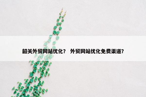 韶关外贸网站优化？ 外贸网站优化免费渠道？