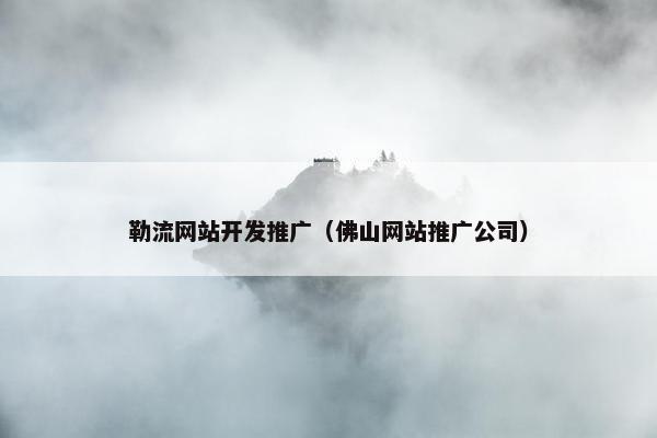勒流网站开发推广（佛山网站推广公司）