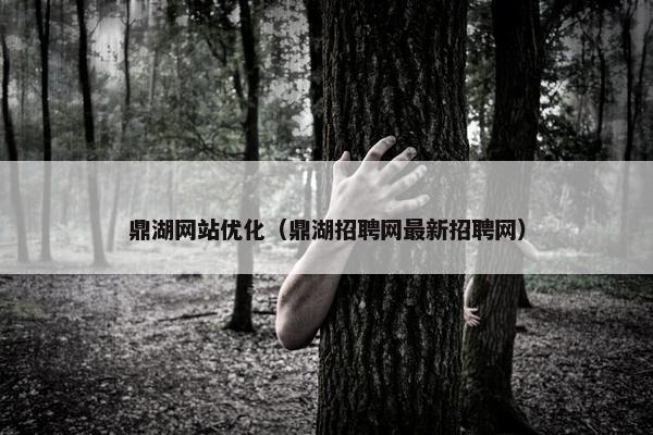 鼎湖网站优化（鼎湖招聘网最新招聘网）