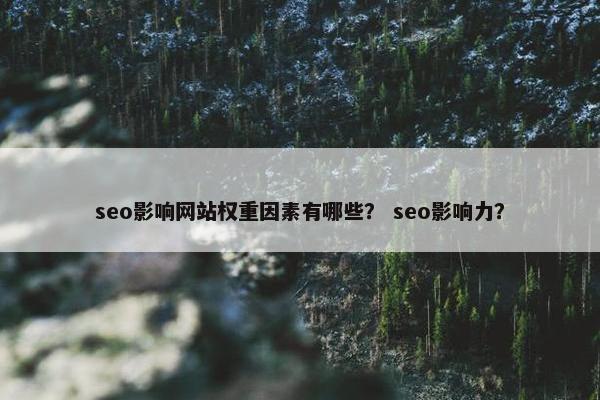 seo影响网站权重因素有哪些？ seo影响力？