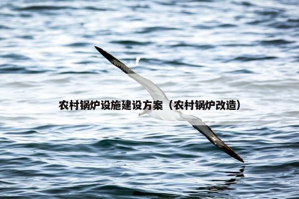 农村锅炉设施建设方案（农村锅炉改造）