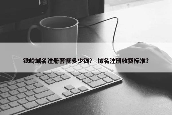 铁岭域名注册套餐多少钱？ 域名注册收费标准？