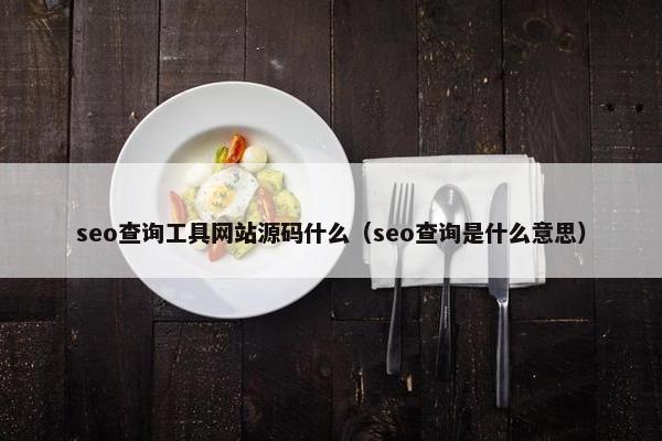 seo查询工具网站源码什么（seo查询是什么意思）