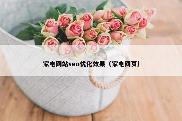 家电网站seo优化效果（家电网页）