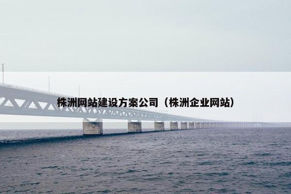 株洲网站建设方案公司（株洲企业网站）