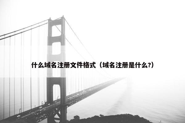 什么域名注册文件格式（域名注册是什么?）