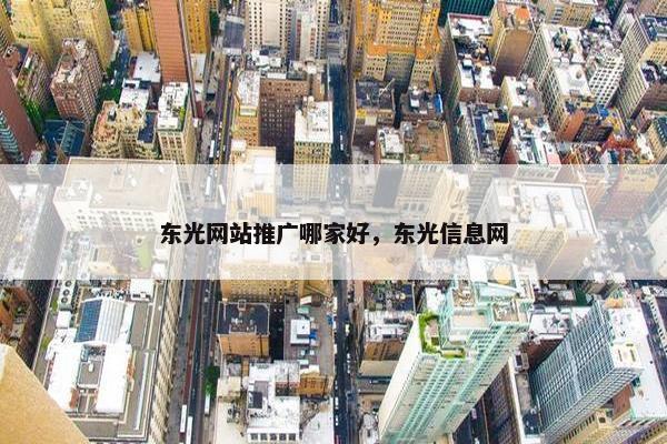 东光网站推广哪家好，东光信息网