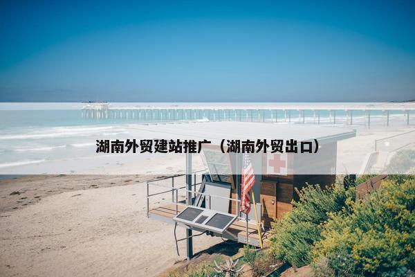 湖南外贸建站推广（湖南外贸出口）