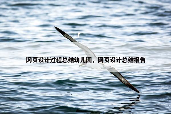 网页设计过程总结幼儿园，网页设计总结报告
