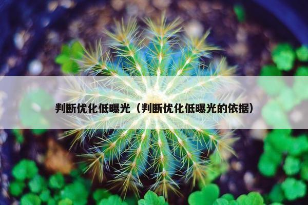 判断优化低曝光（判断优化低曝光的依据）