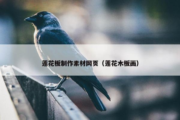 莲花板制作素材网页（莲花木板画）
