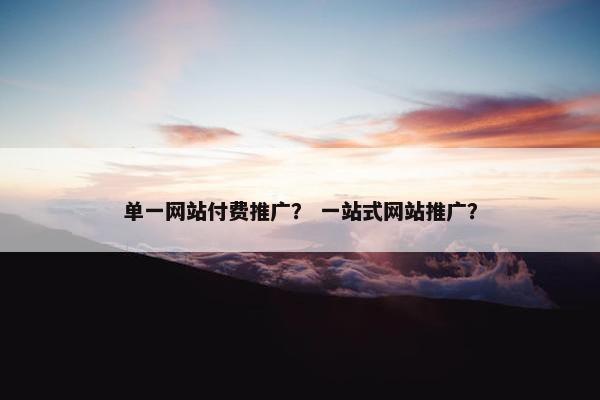 单一网站付费推广？ 一站式网站推广？