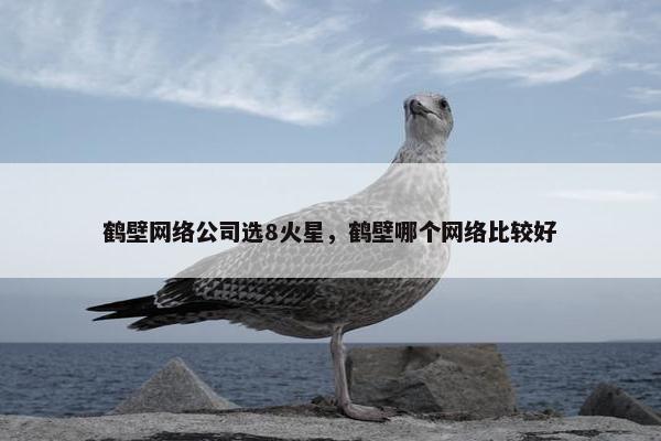 鹤壁网络公司选8火星，鹤壁哪个网络比较好