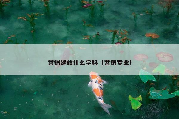 营销建站什么学科（营销专业）
