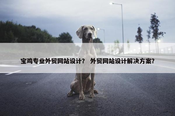 宝鸡专业外贸网站设计？ 外贸网站设计解决方案？