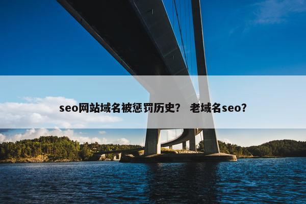 seo网站域名被惩罚历史？ 老域名seo？