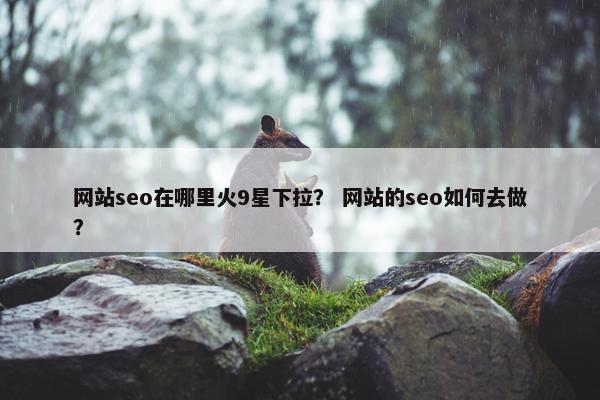 网站seo在哪里火9星下拉？ 网站的seo如何去做？