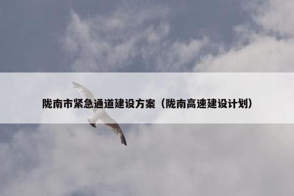 陇南市紧急通道建设方案（陇南高速建设计划）