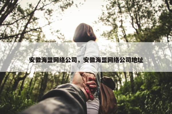 安徽海盟网络公司，安徽海盟网络公司地址