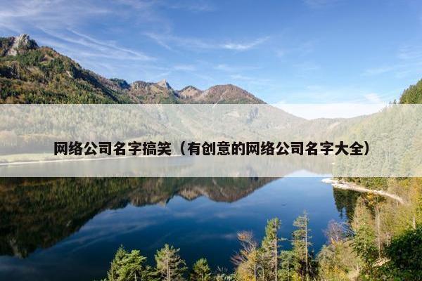 网络公司名字搞笑（有创意的网络公司名字大全）