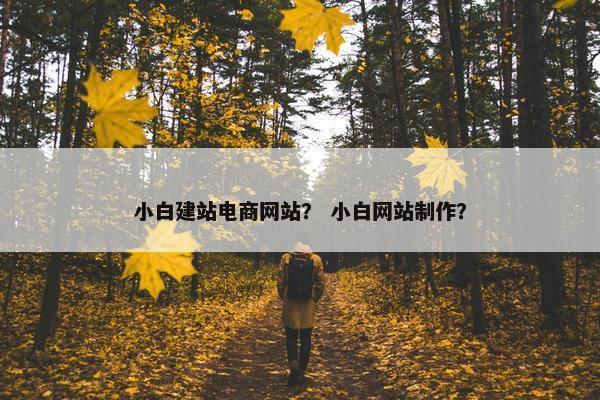 小白建站电商网站？ 小白网站制作？