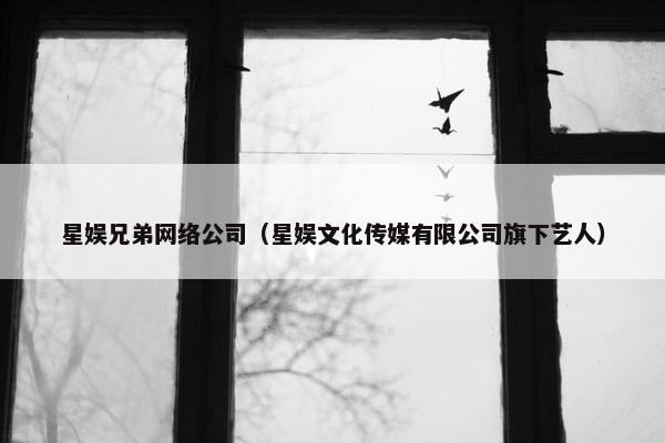 星娱兄弟网络公司（星娱文化传媒有限公司旗下艺人）