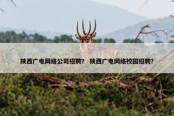 陕西广电网络公司招聘？ 陕西广电网络校园招聘？