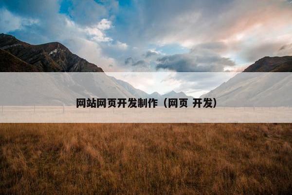 网站网页开发制作（网页 开发）