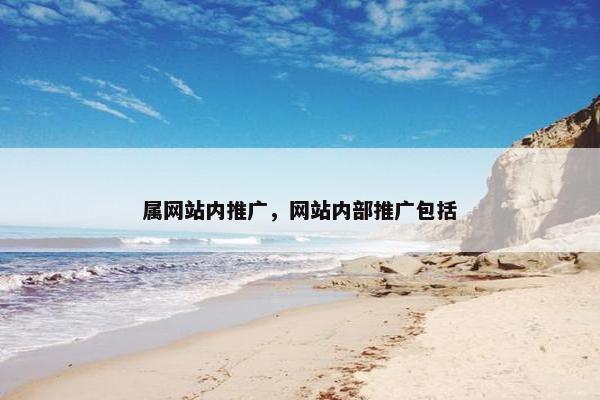 属网站内推广，网站内部推广包括
