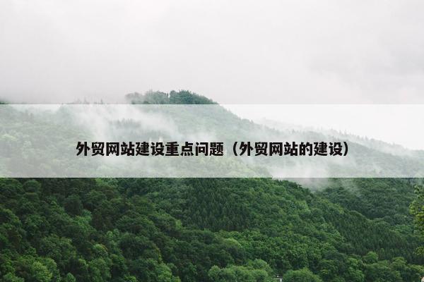 外贸网站建设重点问题（外贸网站的建设）